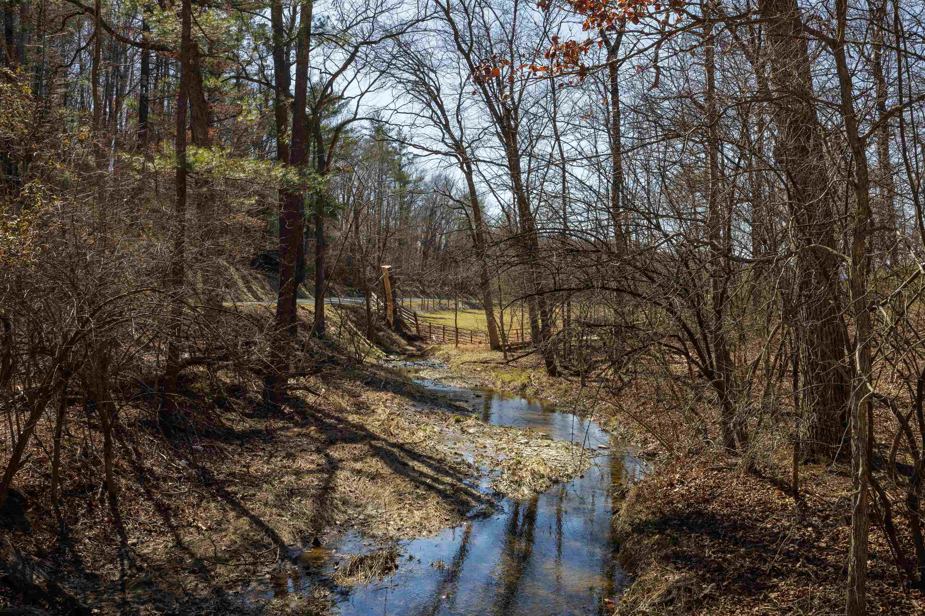 TBD HOLLOW RD, FULKS RUN, Virginia 22830, ,Land,TBD HOLLOW RD,661882 MLS # 661882