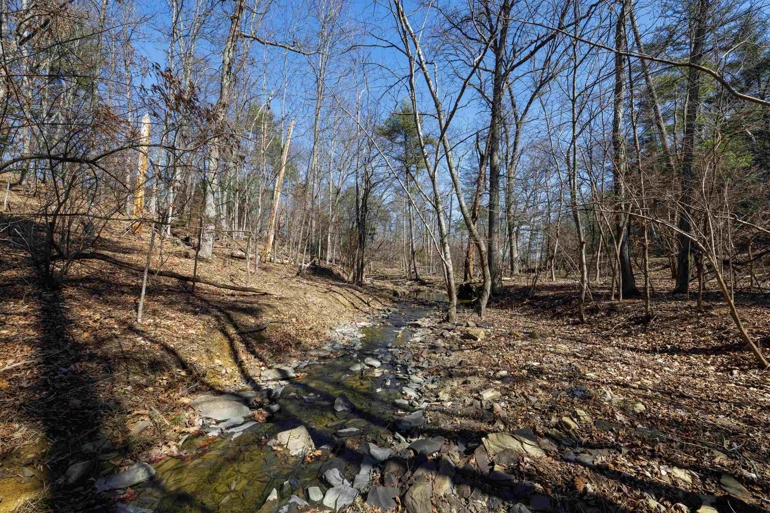 TBD HOLLOW RD, FULKS RUN, Virginia 22830, ,Land,TBD HOLLOW RD,661882 MLS # 661882