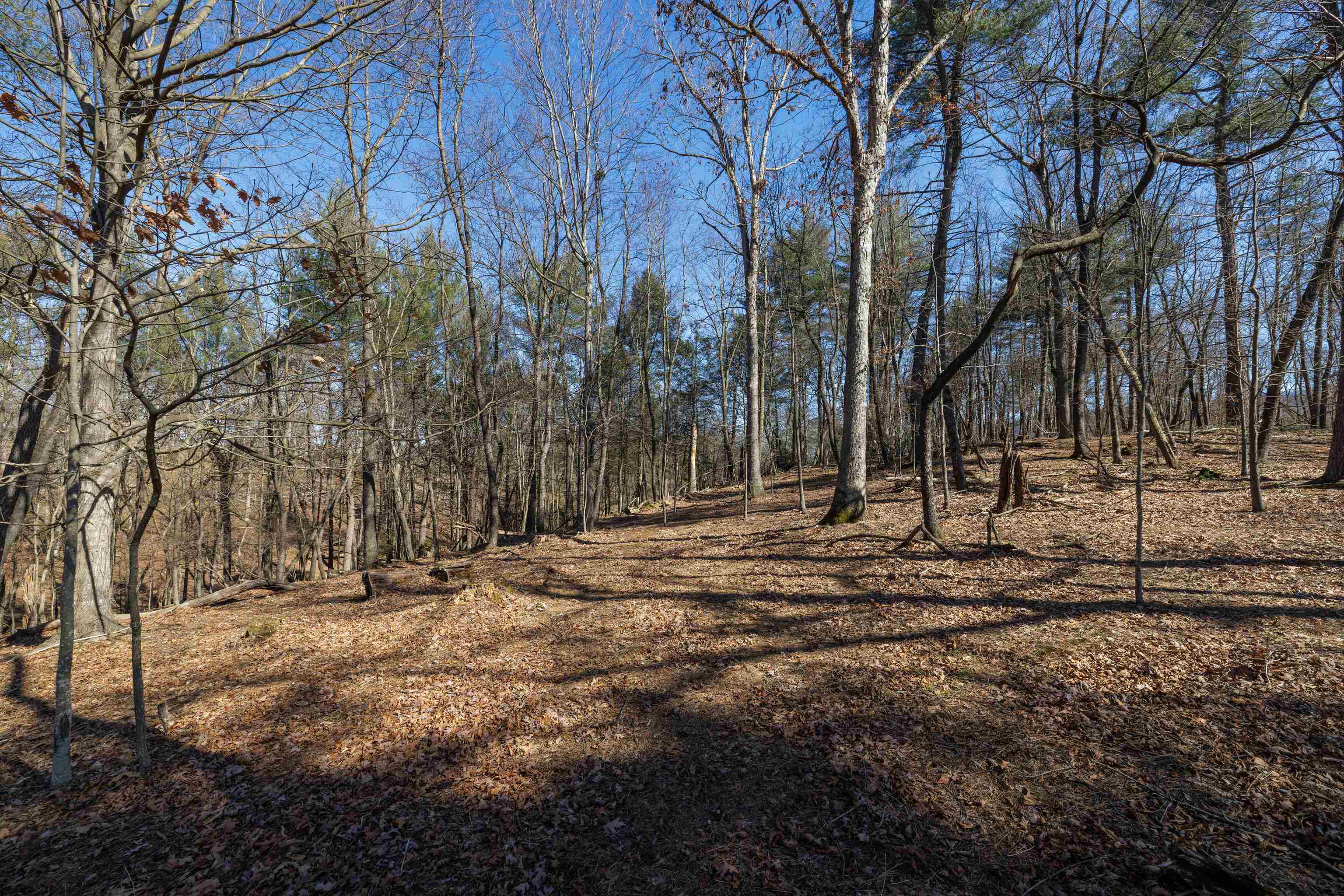 TBD HOLLOW RD, FULKS RUN, Virginia 22830, ,Land,TBD HOLLOW RD,661882 MLS # 661882