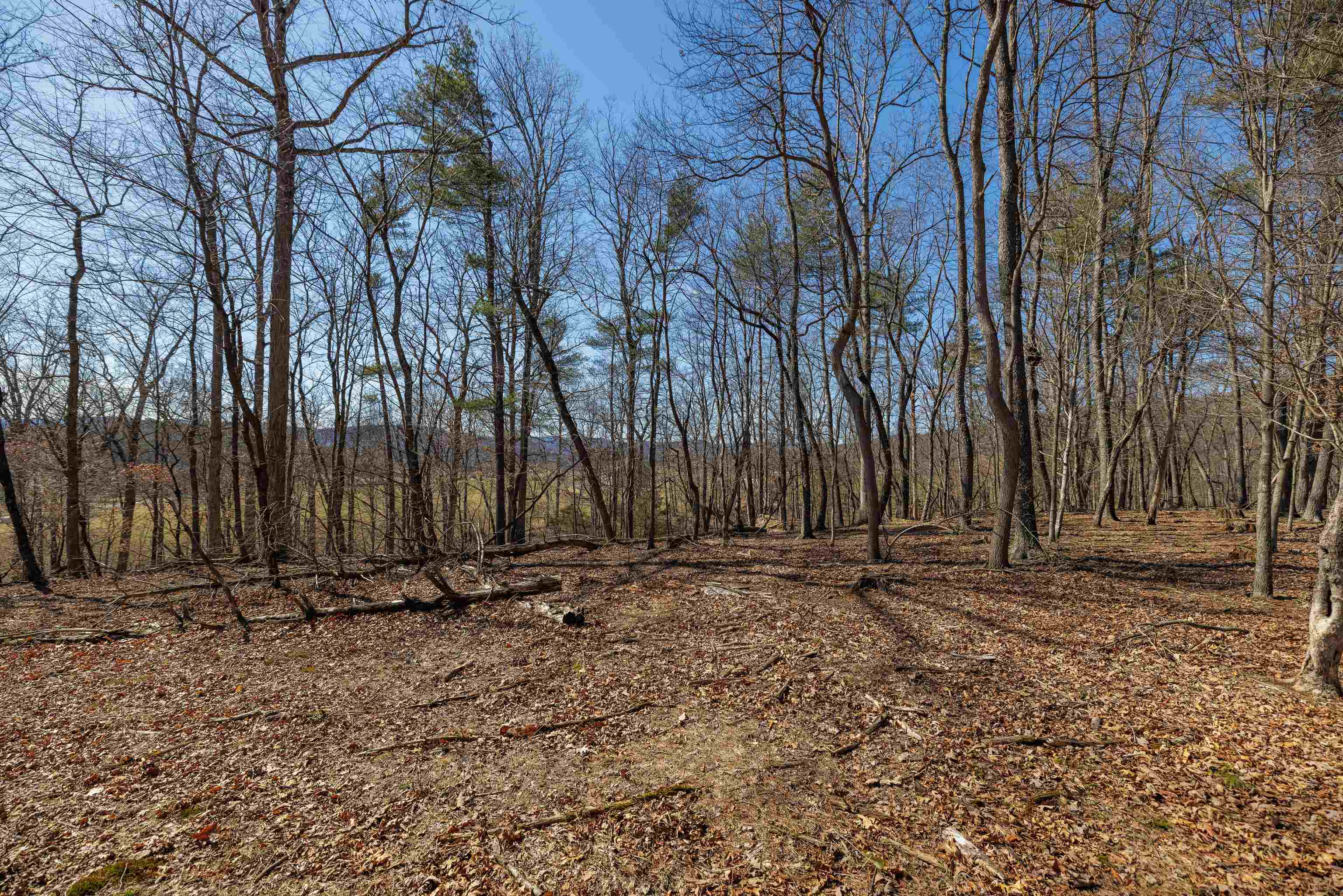 TBD HOLLOW RD, FULKS RUN, Virginia 22830, ,Land,TBD HOLLOW RD,661882 MLS # 661882