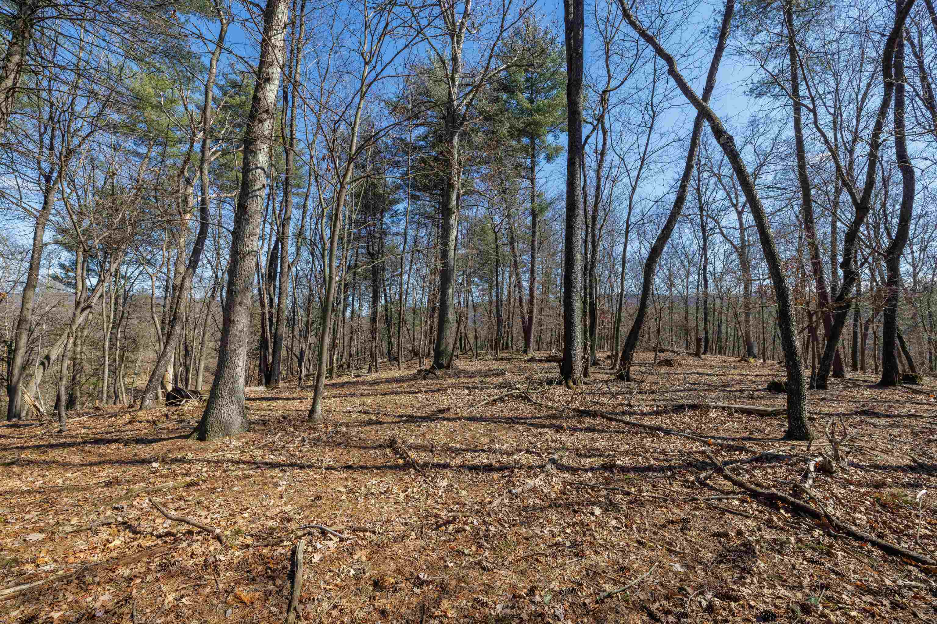 TBD HOLLOW RD, FULKS RUN, Virginia 22830, ,Land,TBD HOLLOW RD,661882 MLS # 661882