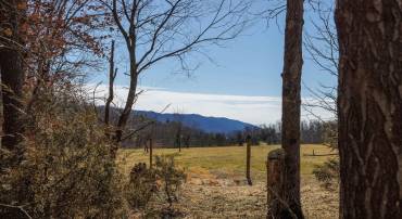 TBD HOLLOW RD, FULKS RUN, Virginia 22830, ,Land,TBD HOLLOW RD,661882 MLS # 661882