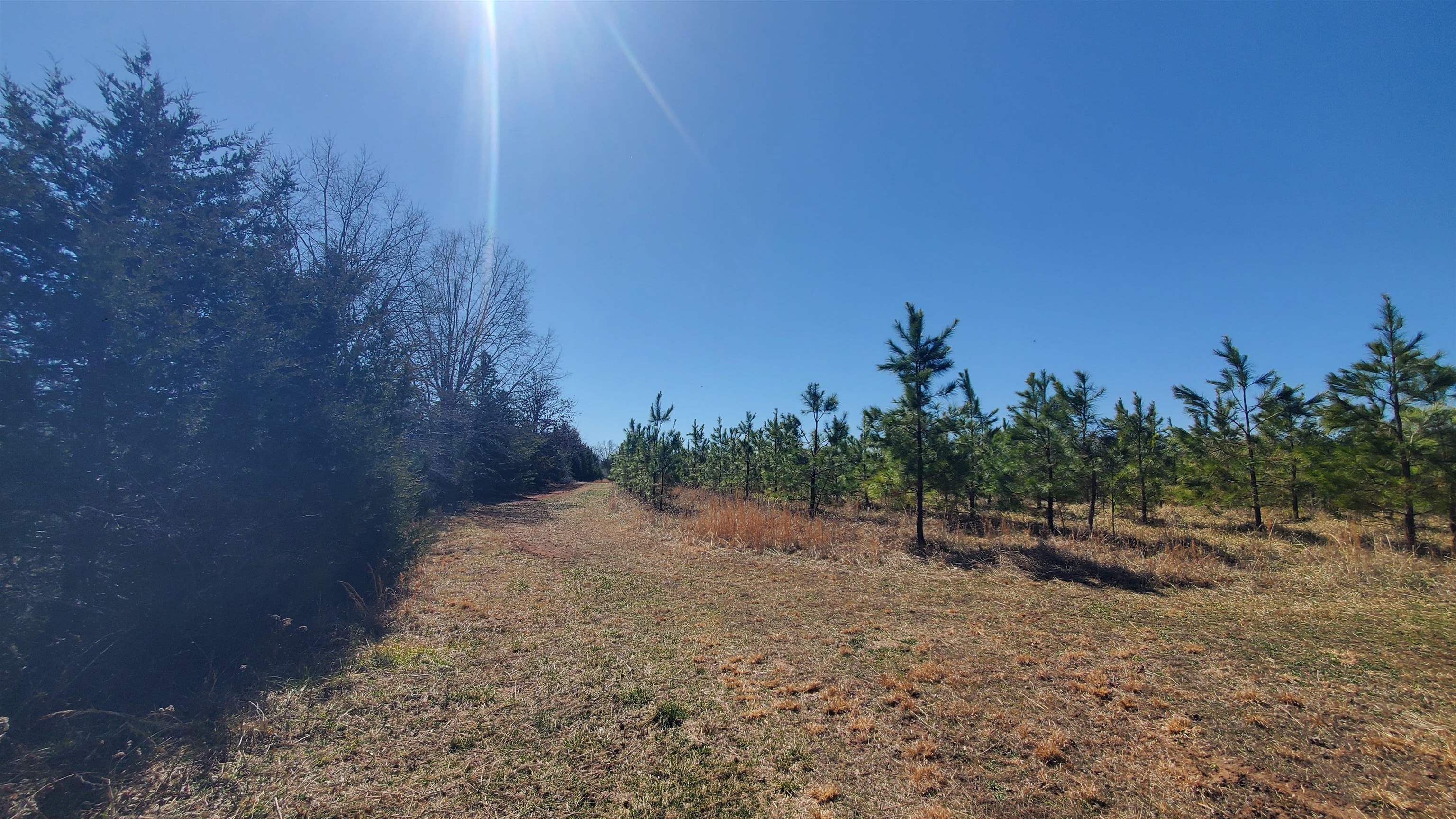 357 ac RENAN RD, GRETNA, Virginia 24557, ,Farm,357 ac RENAN RD,661885 MLS # 661885