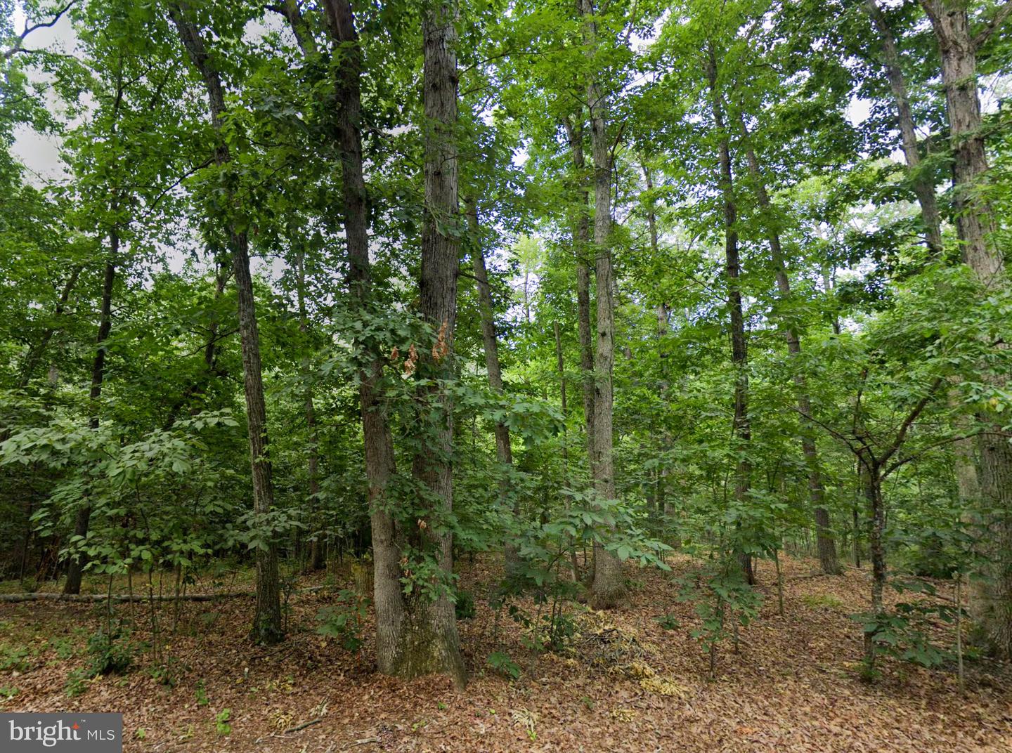 00 LEVEL HILL RD, LURAY, Virginia 22835, ,Land,For sale,00 LEVEL HILL RD,VAPA2004590 MLS # VAPA2004590