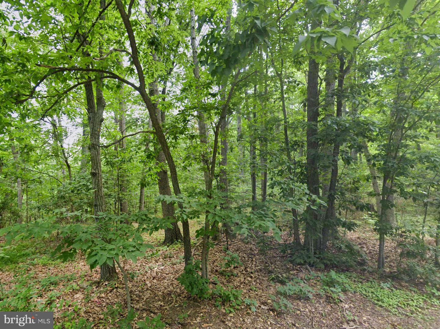 00 LEVEL HILL RD, LURAY, Virginia 22835, ,Land,For sale,00 LEVEL HILL RD,VAPA2004590 MLS # VAPA2004590