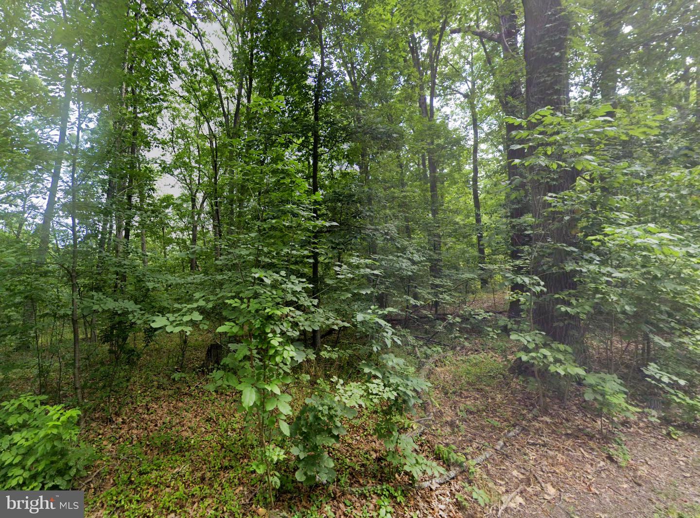 00 LEVEL HILL RD, LURAY, Virginia 22835, ,Land,For sale,00 LEVEL HILL RD,VAPA2004590 MLS # VAPA2004590