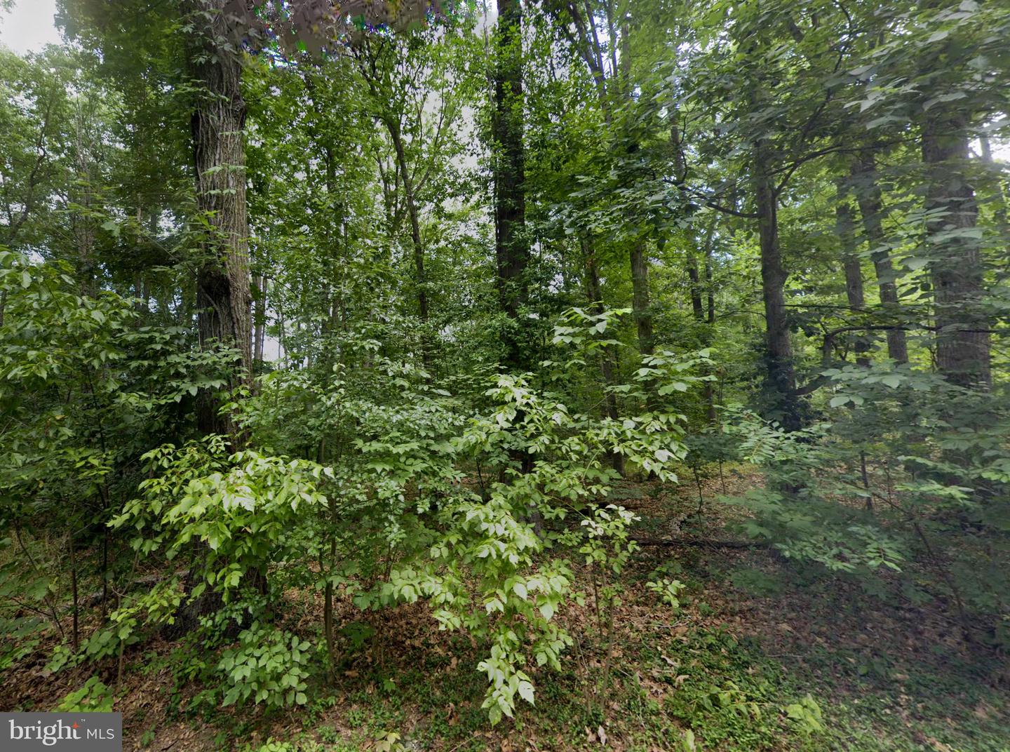 00 LEVEL HILL RD, LURAY, Virginia 22835, ,Land,For sale,00 LEVEL HILL RD,VAPA2004590 MLS # VAPA2004590