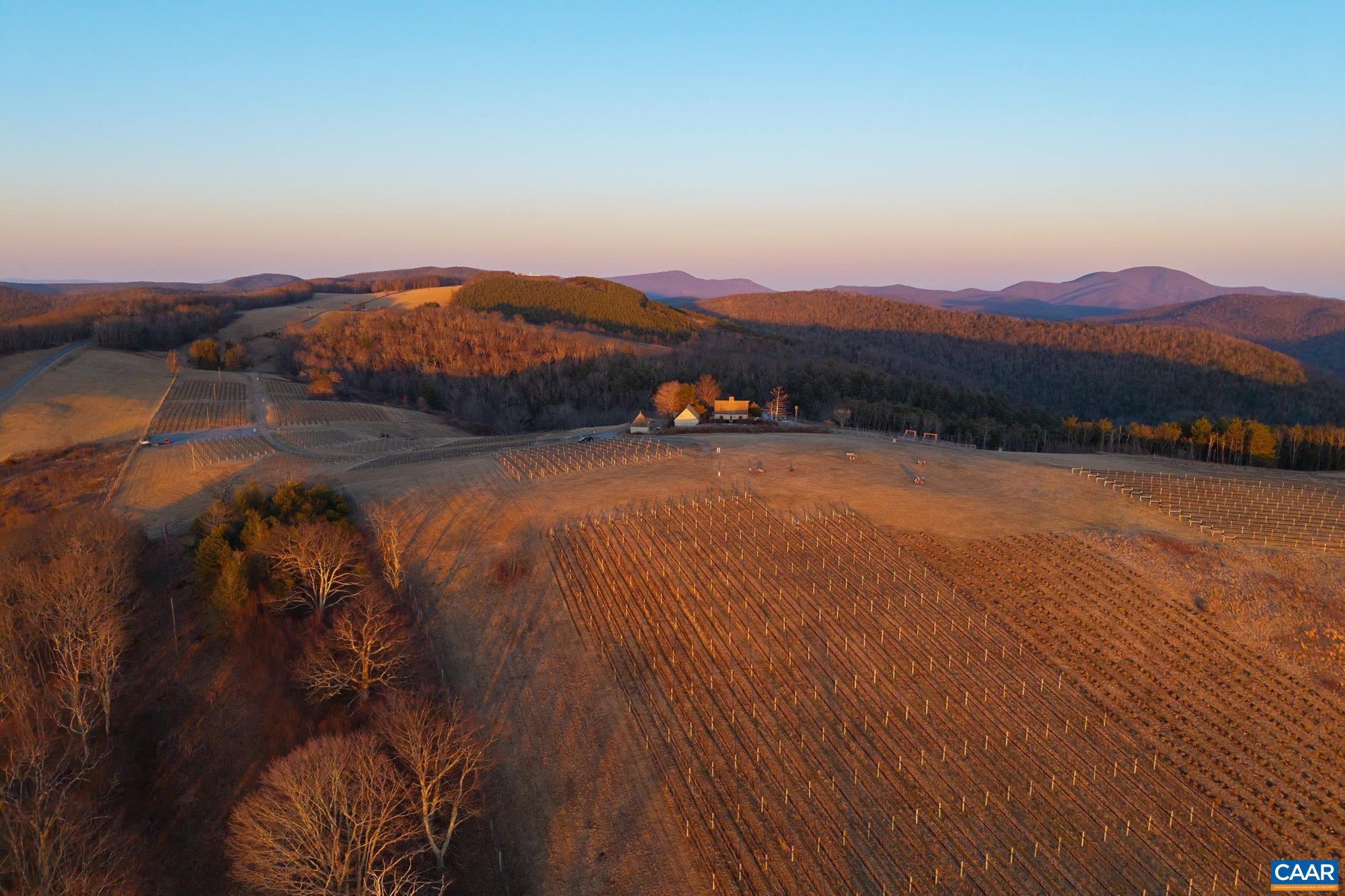 24981 BLUE RIDGE PKWY, VESUVIUS, Virginia 22032, 4 Bedrooms Bedrooms, ,4 BathroomsBathrooms,Residential,12 Ridges Vineyard,24981 BLUE RIDGE PKWY,661914 MLS # 661914