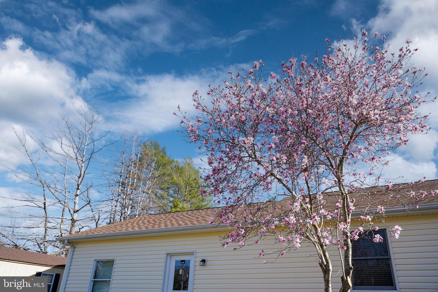4291 DYES LN, BEALETON, Virginia 22712, 3 Bedrooms Bedrooms, ,2 BathroomsBathrooms,Residential,For sale,4291 DYES LN,VAFQ2015424 MLS # VAFQ2015424