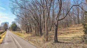 0 BUNKER HILL RD, THE PLAINS, Virginia 20198, ,Land,For sale,0 BUNKER HILL RD,VAFQ2015800 MLS # VAFQ2015800