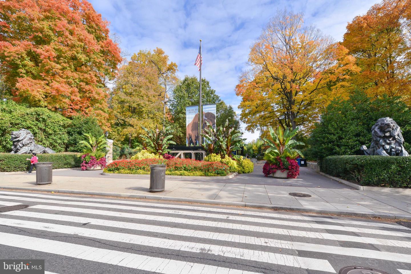 1801 PARK RD NW #2, WASHINGTON, District Of Columbia 20010, 1 Bedroom Bedrooms, ,1 BathroomBathrooms,Residential,For sale,1801 PARK RD NW #2,DCDC2189880 MLS # DCDC2189880