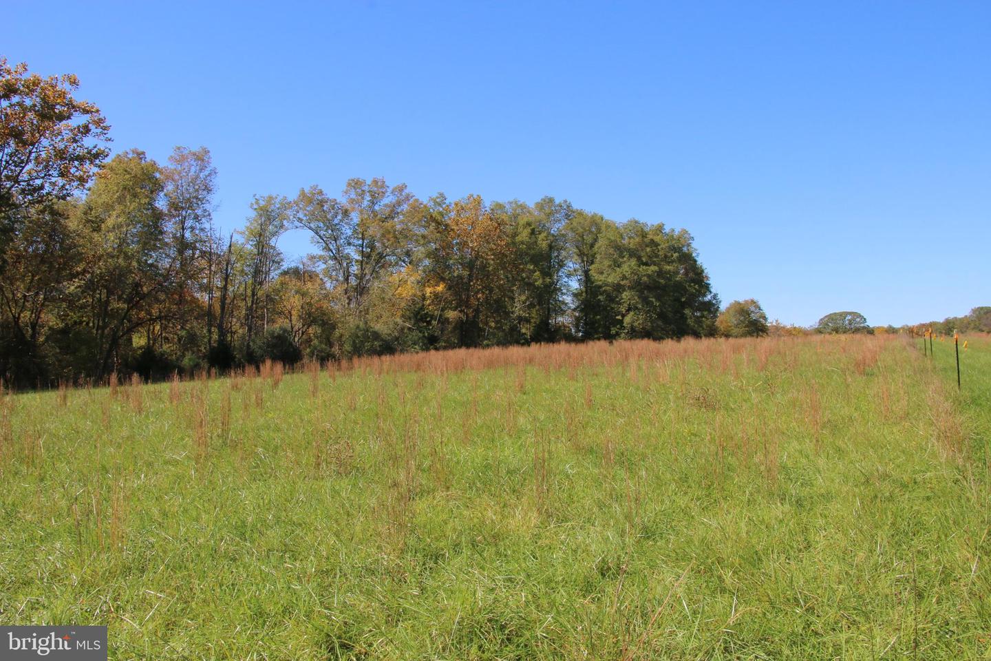 SADLICK LOT S RD, STRASBURG, Virginia 22657, ,Land,For sale,SADLICK LOT S RD,VAWR2009874 MLS # VAWR2009874