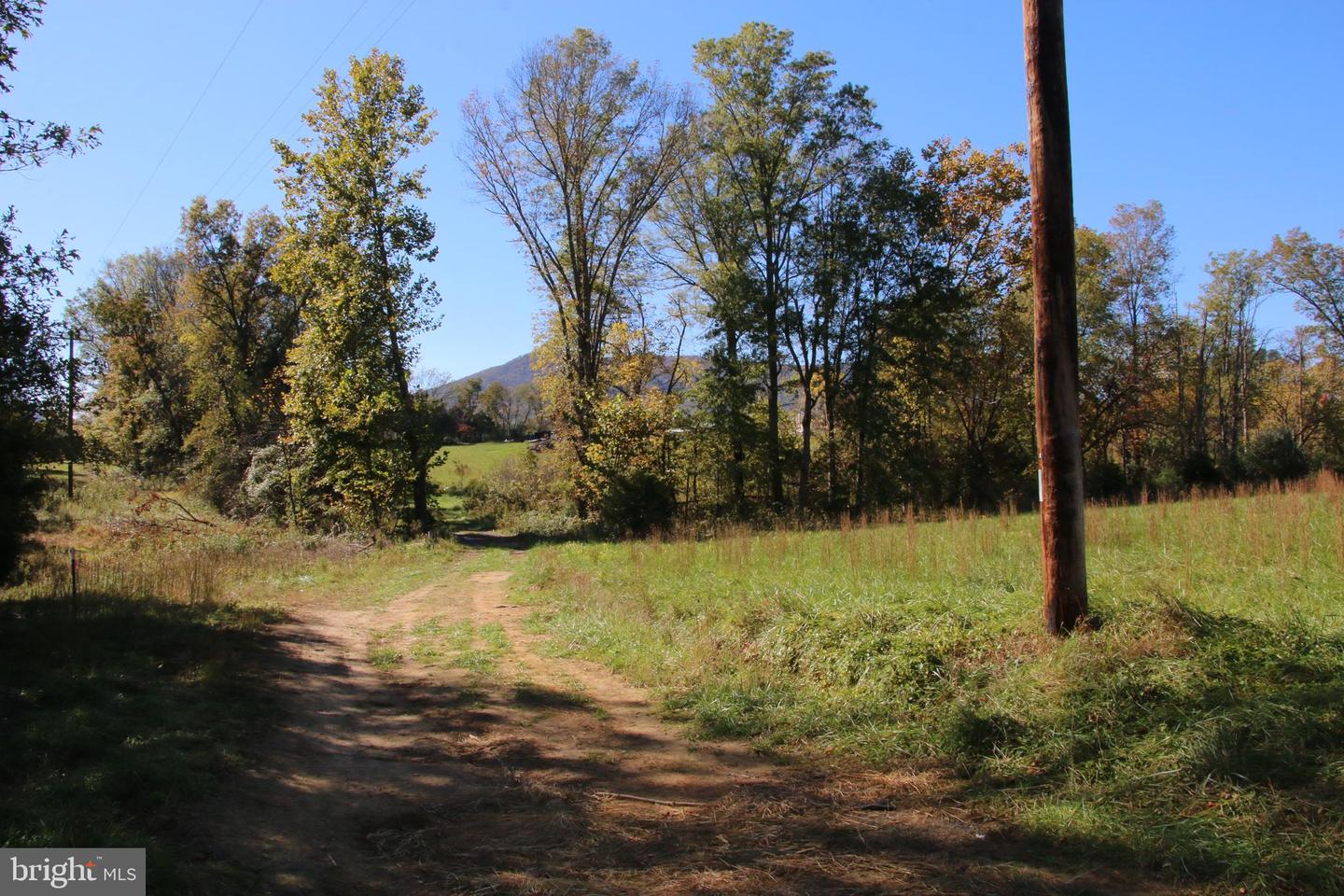 SADLICK LOT S RD, STRASBURG, Virginia 22657, ,Land,For sale,SADLICK LOT S RD,VAWR2009874 MLS # VAWR2009874