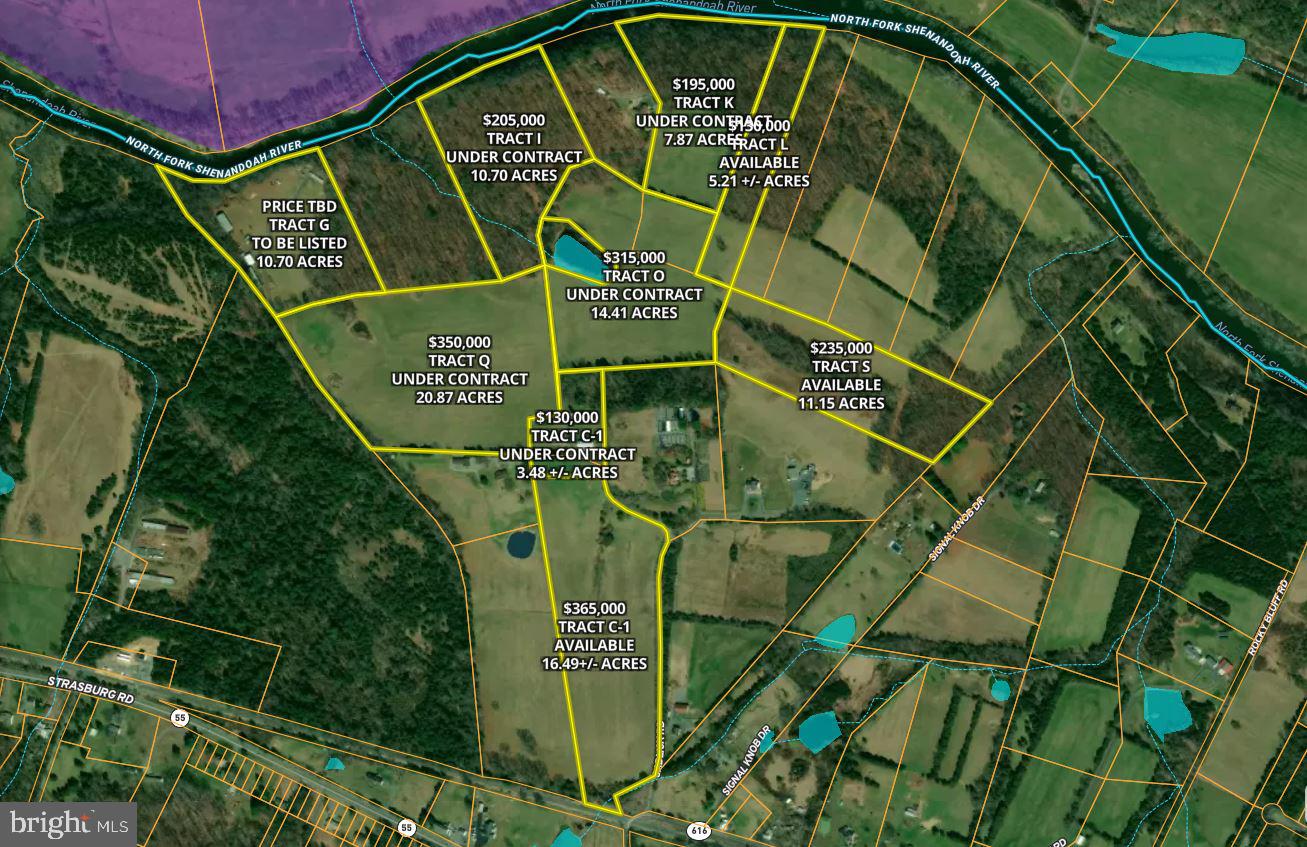 SADLICK LOT S RD, STRASBURG, Virginia 22657, ,Land,For sale,SADLICK LOT S RD,VAWR2009874 MLS # VAWR2009874