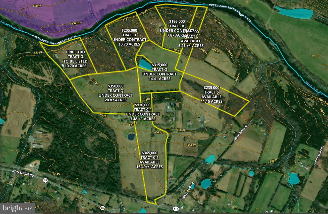 SADLICK LOT S RD, STRASBURG, Virginia 22657, ,Land,For sale,SADLICK LOT S RD,VAWR2009874 MLS # VAWR2009874