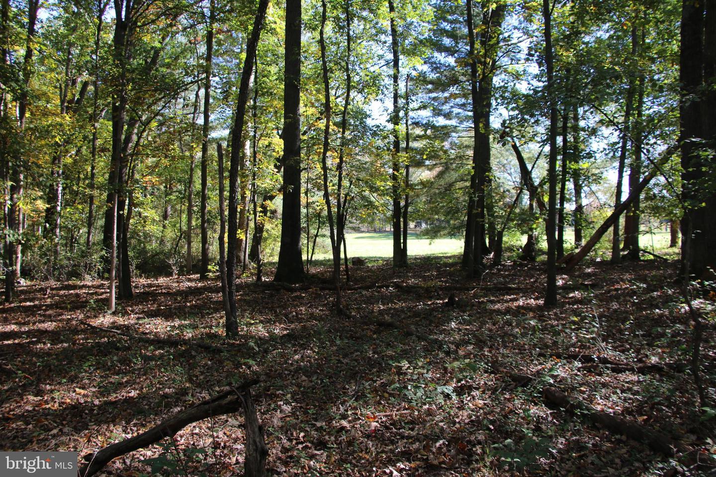 SADLICK LOT S RD, STRASBURG, Virginia 22657, ,Land,For sale,SADLICK LOT S RD,VAWR2009874 MLS # VAWR2009874