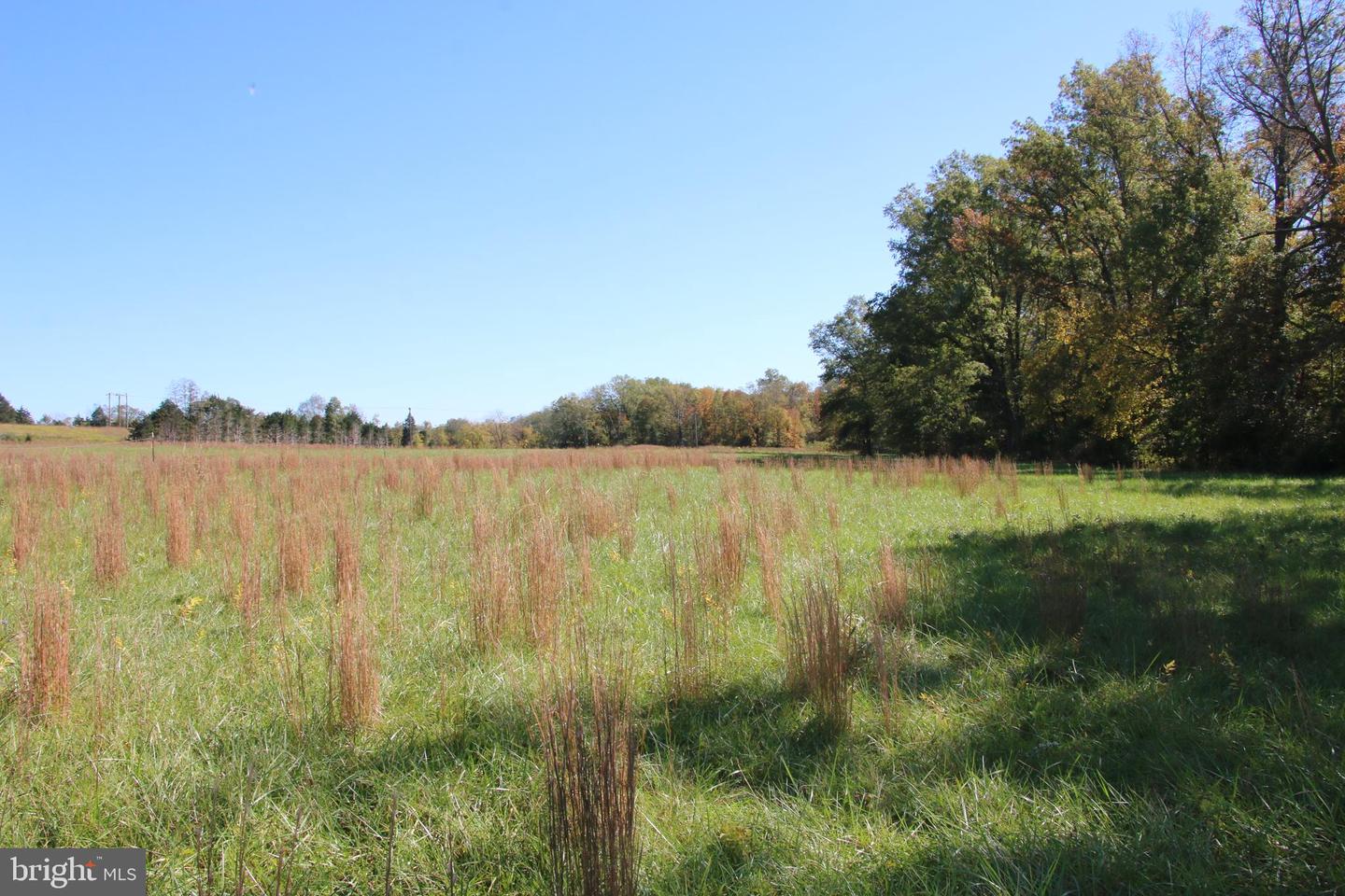 SADLICK LOT S RD, STRASBURG, Virginia 22657, ,Land,For sale,SADLICK LOT S RD,VAWR2009874 MLS # VAWR2009874