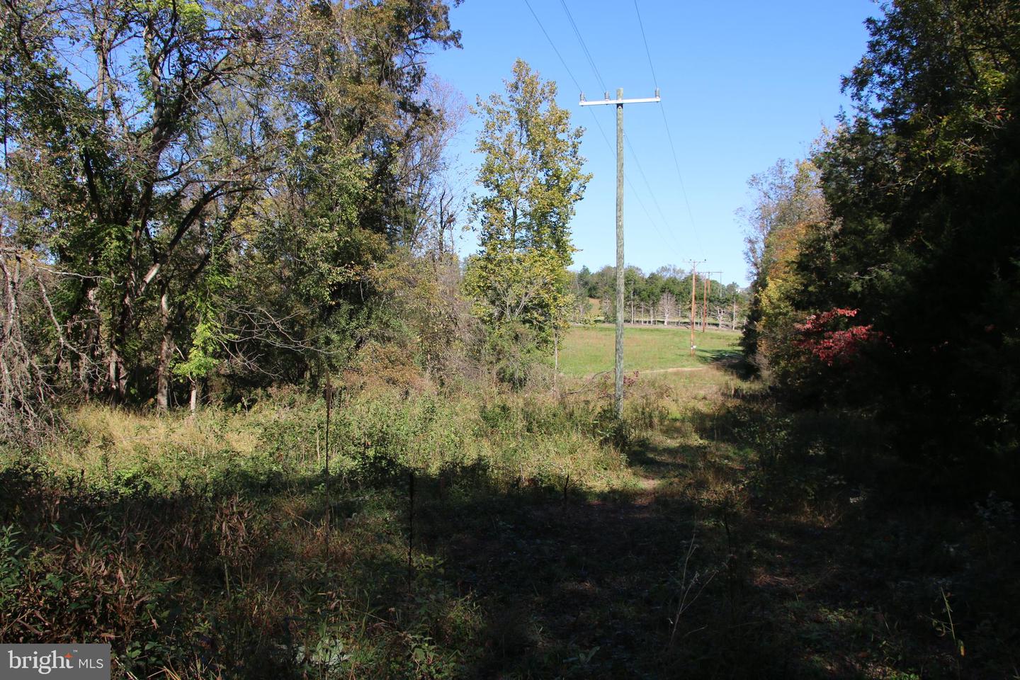 SADLICK LOT S RD, STRASBURG, Virginia 22657, ,Land,For sale,SADLICK LOT S RD,VAWR2009874 MLS # VAWR2009874