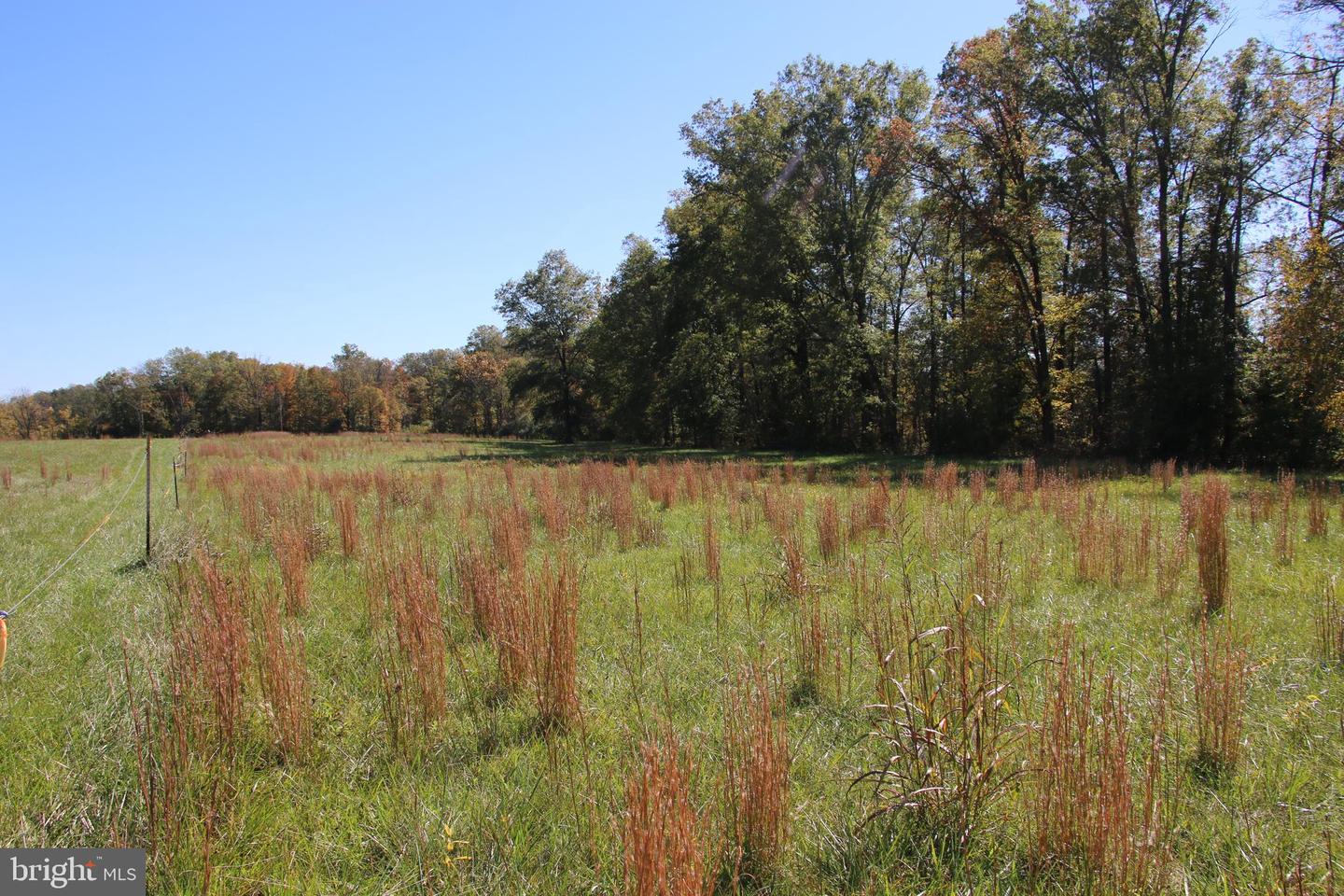 SADLICK LOT S RD, STRASBURG, Virginia 22657, ,Land,For sale,SADLICK LOT S RD,VAWR2009874 MLS # VAWR2009874