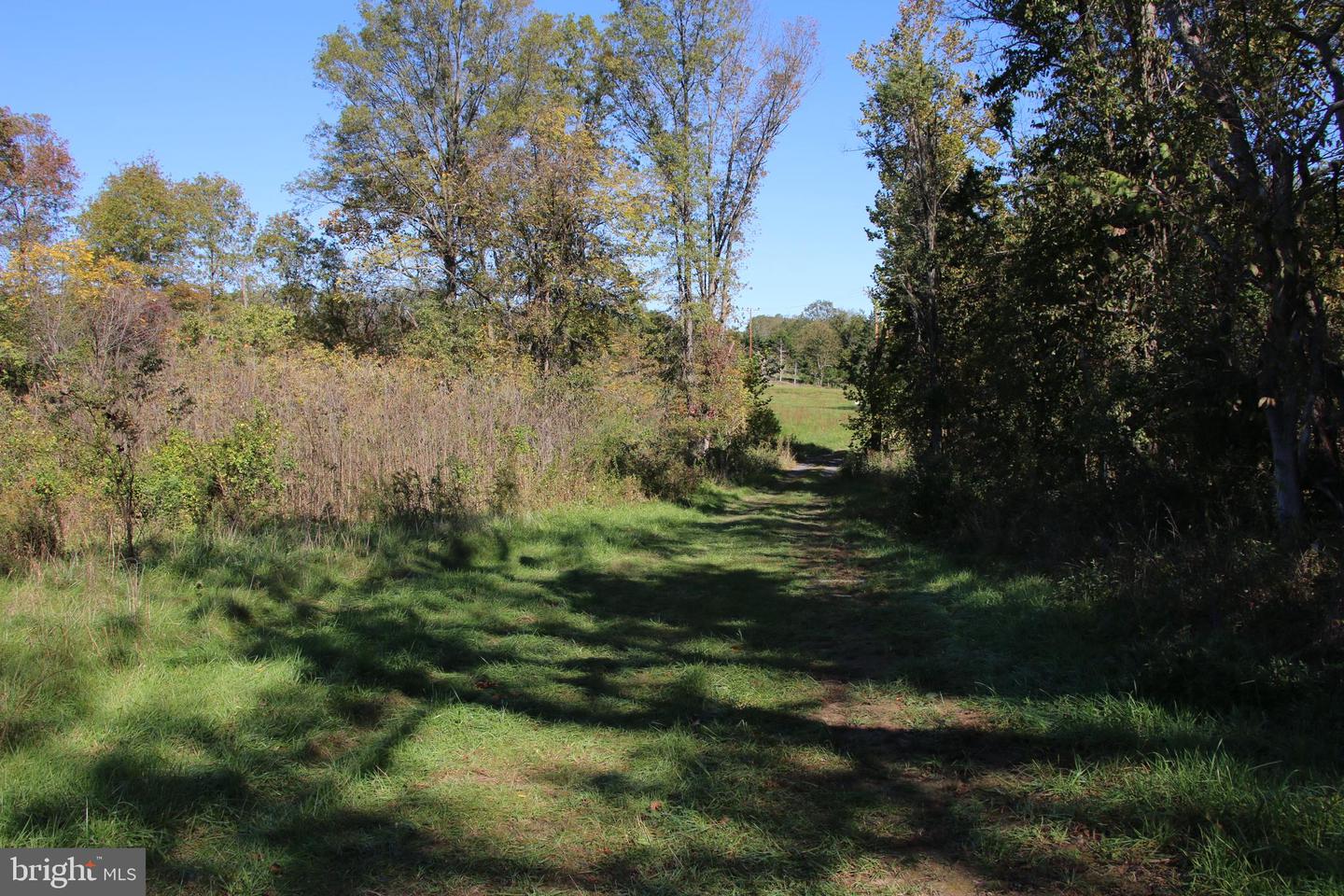 SADLICK LOT S RD, STRASBURG, Virginia 22657, ,Land,For sale,SADLICK LOT S RD,VAWR2009874 MLS # VAWR2009874