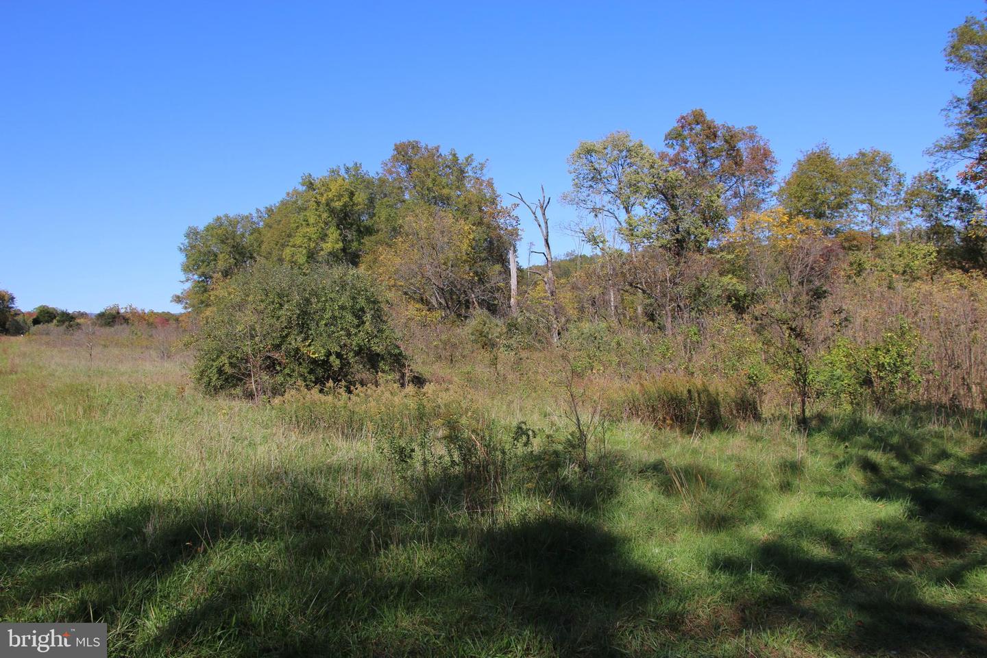 SADLICK LOT S RD, STRASBURG, Virginia 22657, ,Land,For sale,SADLICK LOT S RD,VAWR2009874 MLS # VAWR2009874