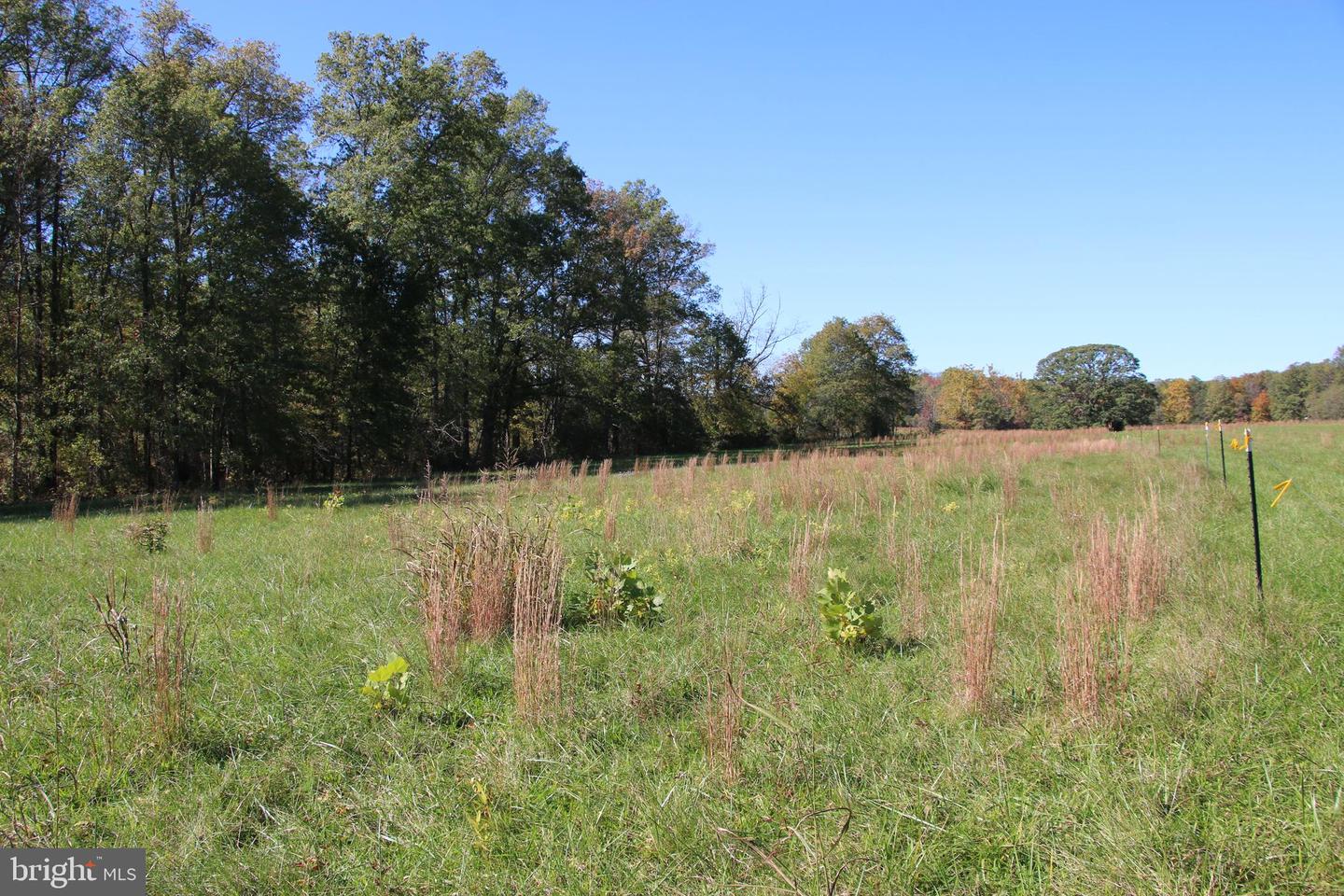 SADLICK LOT S RD, STRASBURG, Virginia 22657, ,Land,For sale,SADLICK LOT S RD,VAWR2009874 MLS # VAWR2009874