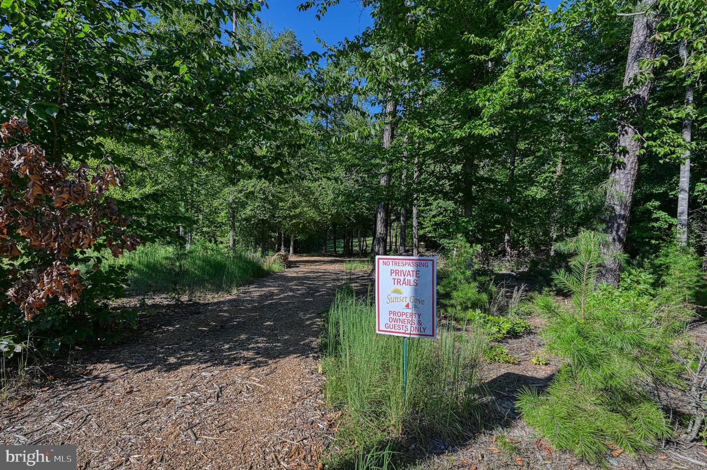 298 SUNSET LOOP, MINERAL, Virginia 23117, ,Land,For sale,298 SUNSET LOOP,VALA2007456 MLS # VALA2007456