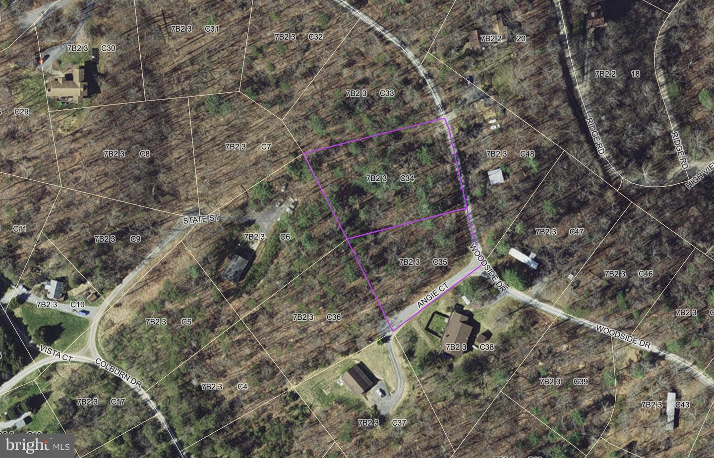 WOODSIDE DR, RILEYVILLE, Virginia 22650, ,Land,For sale,WOODSIDE DR,VAPA2004600 MLS # VAPA2004600