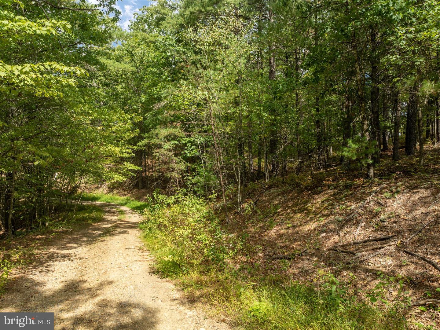 TBD SPITZ LN, BASYE, Virginia 22810, ,Land,For sale,TBD SPITZ LN,VASH2009556 MLS # VASH2009556