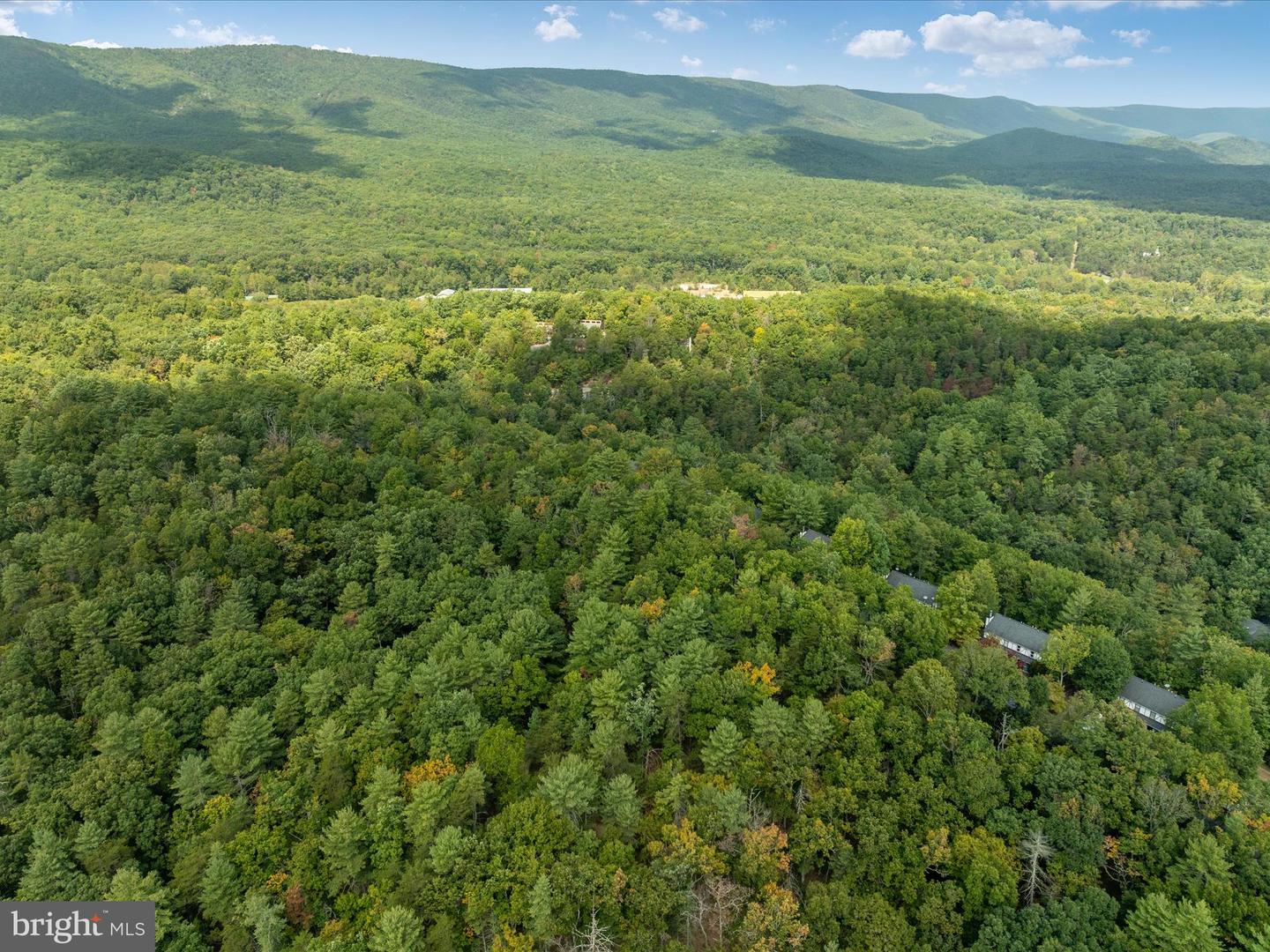 TBD SPITZ LN, BASYE, Virginia 22810, ,Land,For sale,TBD SPITZ LN,VASH2009556 MLS # VASH2009556