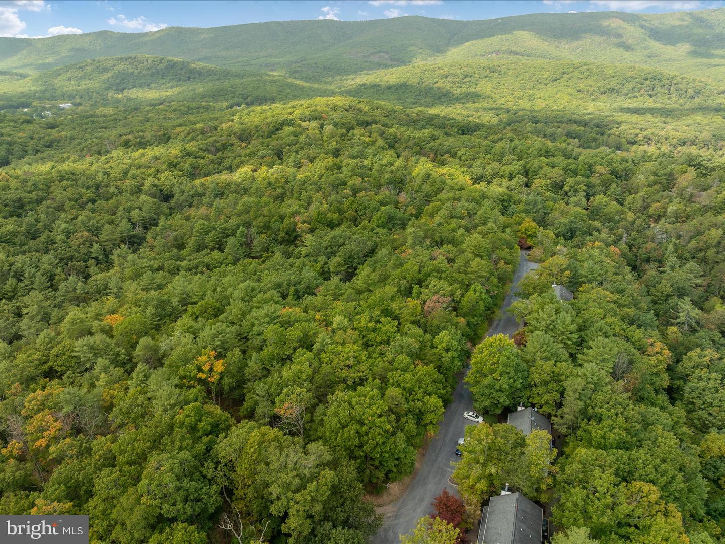 TBD SPITZ LN, BASYE, Virginia 22810, ,Land,For sale,TBD SPITZ LN,VASH2009556 MLS # VASH2009556