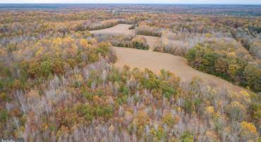 5304 PARTLOW RD, PARTLOW, Virginia 22534, ,Land,For sale,5304 PARTLOW RD,VASP2031500 MLS # VASP2031500