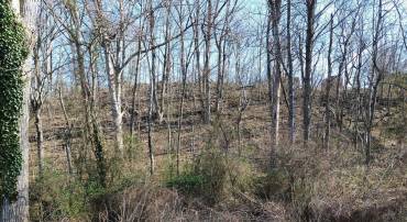 LOT F12 US HWY 340, LURAY, Virginia 22835, ,Land,For sale,LOT F12 US HWY 340,VAPA2004624 MLS # VAPA2004624