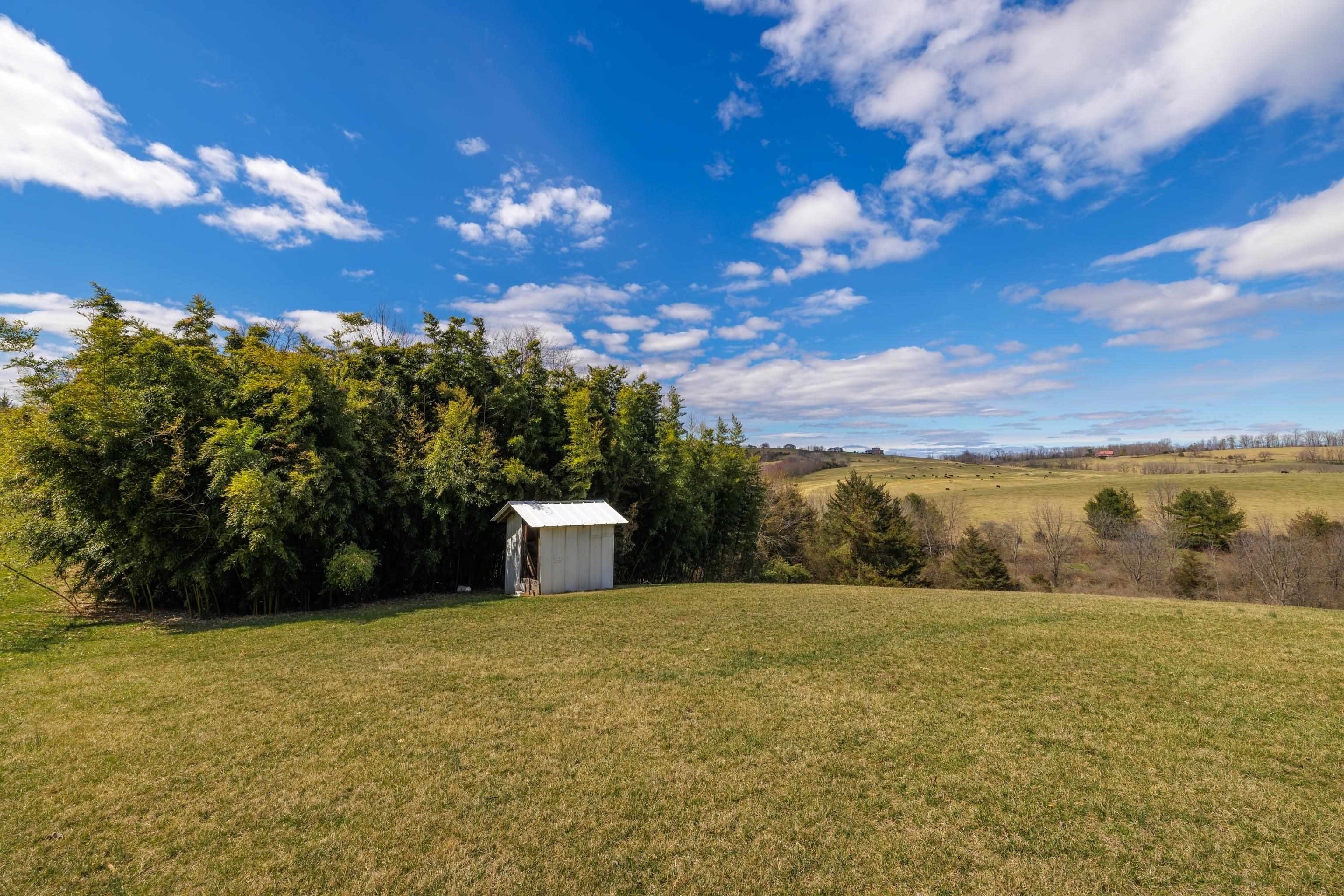 635 LONG MEADOW RD, FISHERSVILLE, Virginia 22939, 6 Bedrooms Bedrooms, ,4 BathroomsBathrooms,Residential,635 LONG MEADOW RD,662069 MLS # 662069