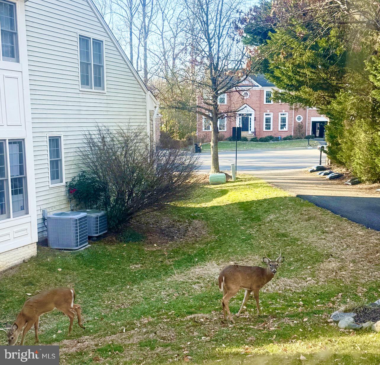 8005 HEDGEWOOD CT, FAIRFAX STATION, Virginia 22039, 5 Bedrooms Bedrooms, ,3 BathroomsBathrooms,Residential,For sale,8005 HEDGEWOOD CT,VAFX2212306 MLS # VAFX2212306