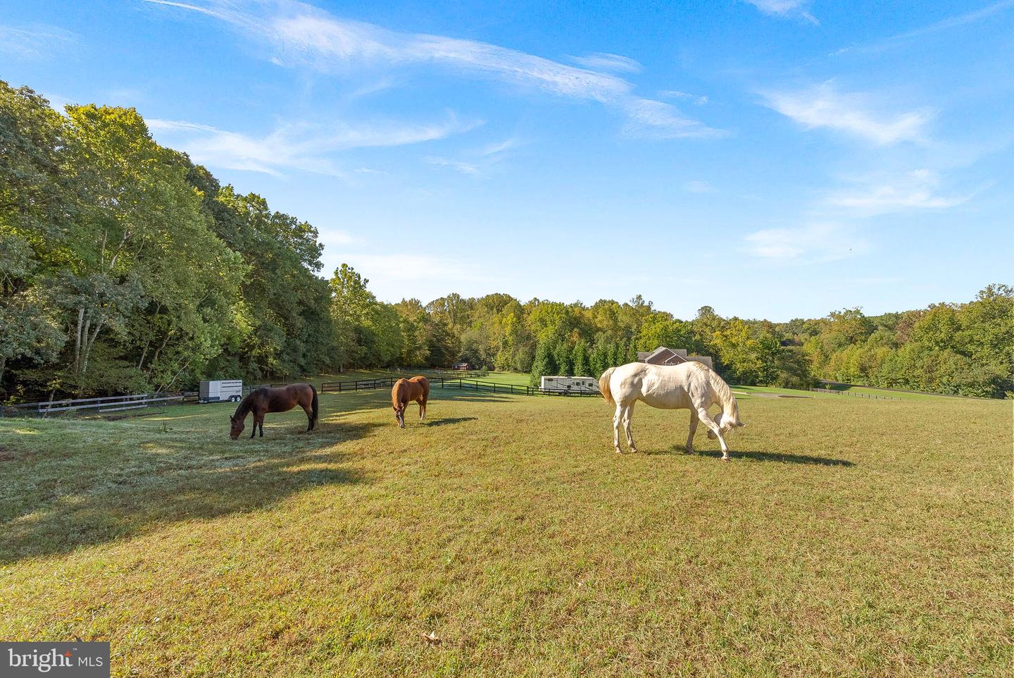 9801 ALYDAR CT, NOKESVILLE, Virginia 20181, 4 Bedrooms Bedrooms, ,3 BathroomsBathrooms,Residential,For sale,9801 ALYDAR CT,VAPW2087984 MLS # VAPW2087984