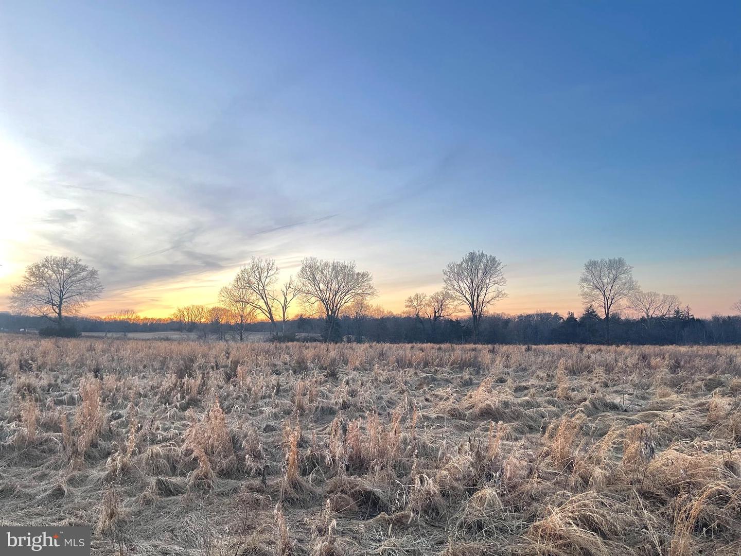 11820 REID LN, NOKESVILLE, Virginia 20181, ,Land,For sale,11820 REID LN,VAPW2090002 MLS # VAPW2090002