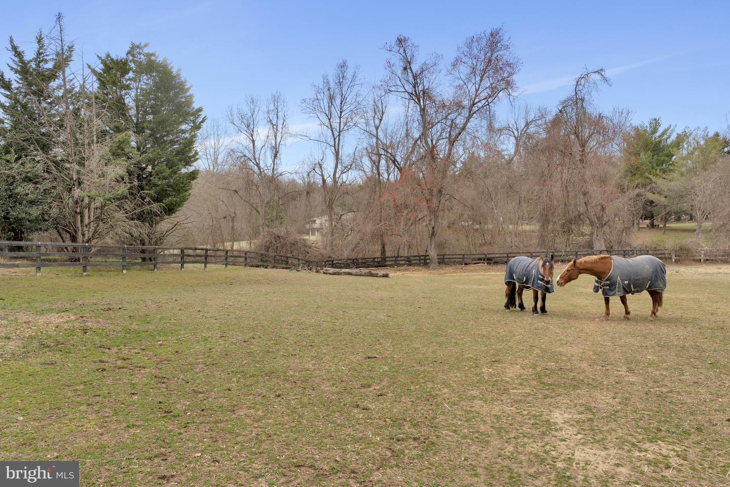 428 WALKER RD, GREAT FALLS, Virginia 22066, 4 Bedrooms Bedrooms, ,4 BathroomsBathrooms,Residential,For sale,428 WALKER RD,VAFX2222544 MLS # VAFX2222544