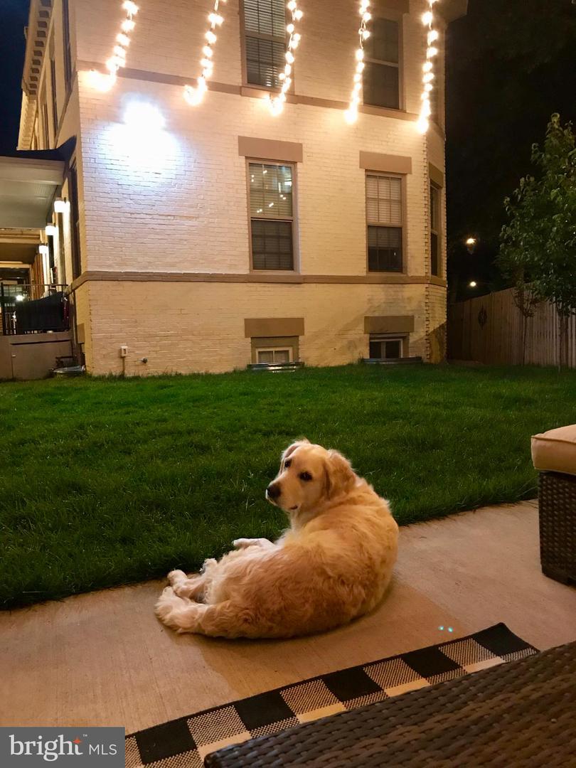 1320 I ST NE, WASHINGTON, District Of Columbia 20002, 3 Bedrooms Bedrooms, ,3 BathroomsBathrooms,Residential,For sale,1320 I ST NE,DCDC2190766 MLS # DCDC2190766 1320 I ST NE, WASHINGTON, District Of Columbia 20002, 3 Bedrooms Bedrooms, ,3 BathroomsBathrooms,Residential,For sale,1320 I ST NE,DCDC2190766 MLS # DCDC2190766