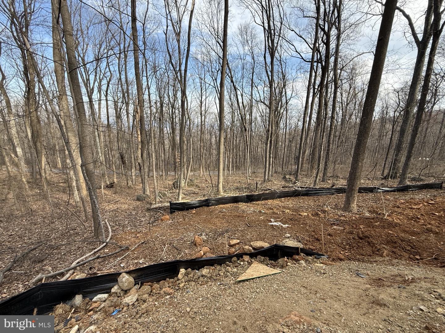 LOT 720 BLOODROOT RD, FRONT ROYAL, Virginia 22630, 3 Bedrooms Bedrooms, ,2 BathroomsBathrooms,Residential,For sale,LOT 720 BLOODROOT RD,VAWR2010654 MLS # VAWR2010654