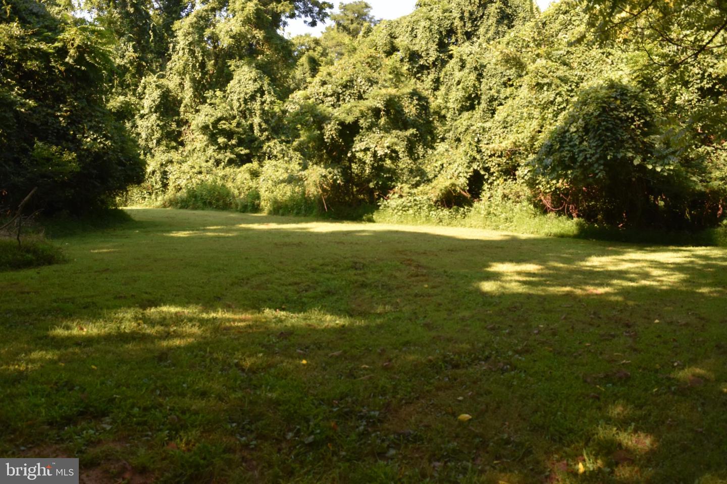 LOT 720 BLOODROOT RD, FRONT ROYAL, Virginia 22630, 3 Bedrooms Bedrooms, ,2 BathroomsBathrooms,Residential,For sale,LOT 720 BLOODROOT RD,VAWR2010654 MLS # VAWR2010654