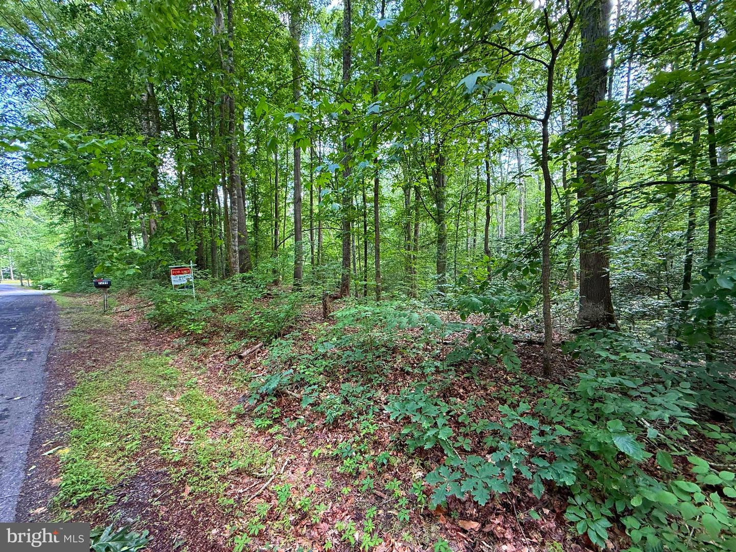 0 JEFFERSON DR, KING GEORGE, Virginia 22485, ,Land,For sale,0 JEFFERSON DR,VAKG2006130 MLS # VAKG2006130