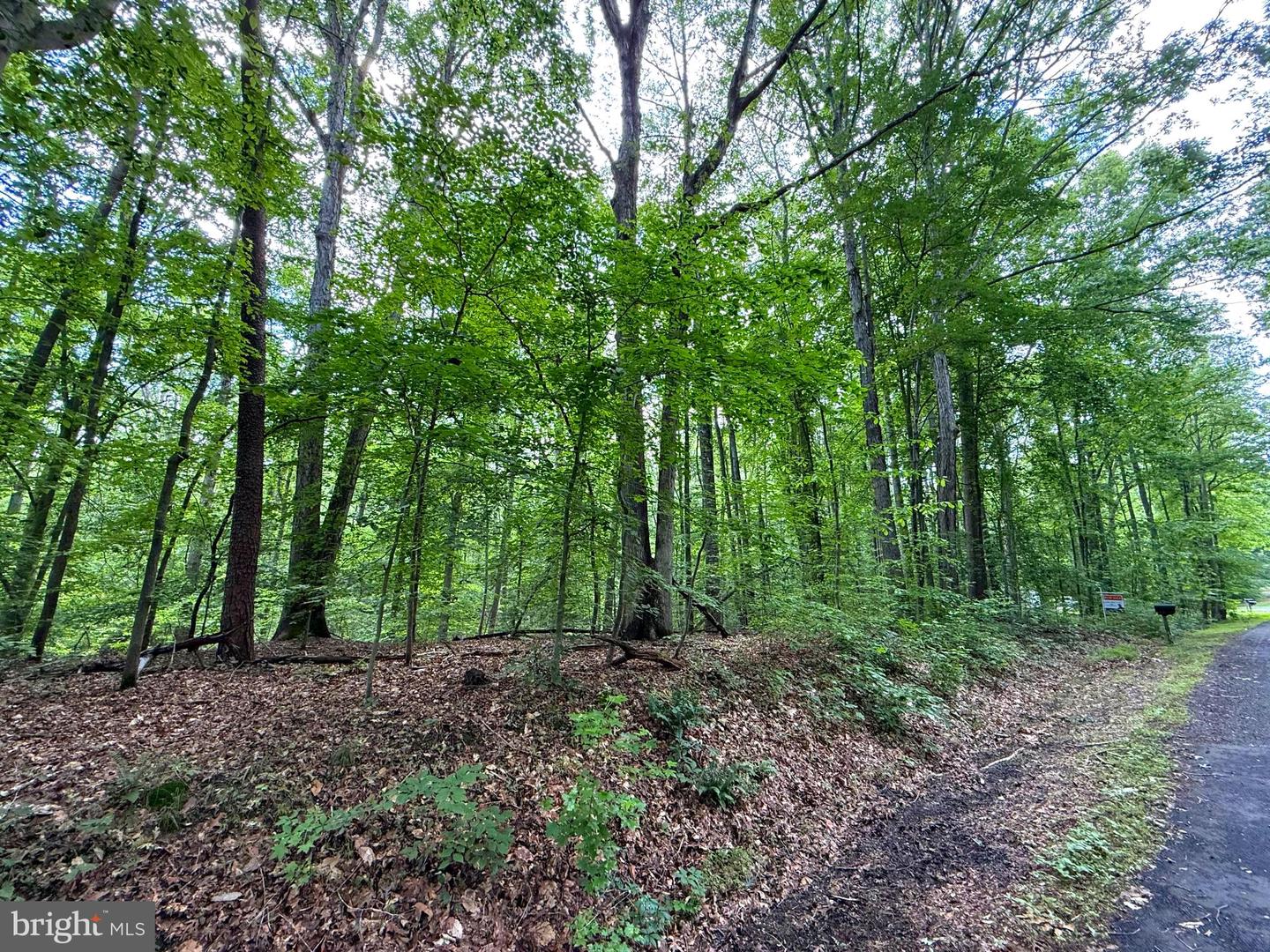 0 JEFFERSON DR, KING GEORGE, Virginia 22485, ,Land,For sale,0 JEFFERSON DR,VAKG2006130 MLS # VAKG2006130