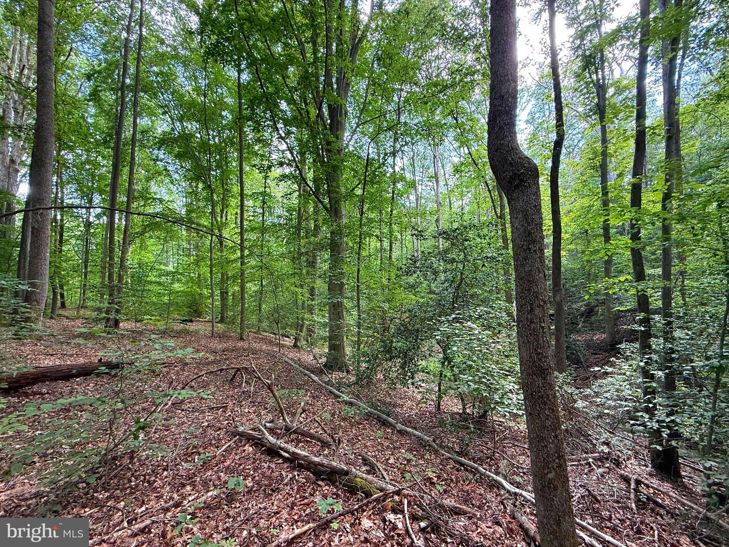 0 JEFFERSON DR, KING GEORGE, Virginia 22485, ,Land,For sale,0 JEFFERSON DR,VAKG2006130 MLS # VAKG2006130