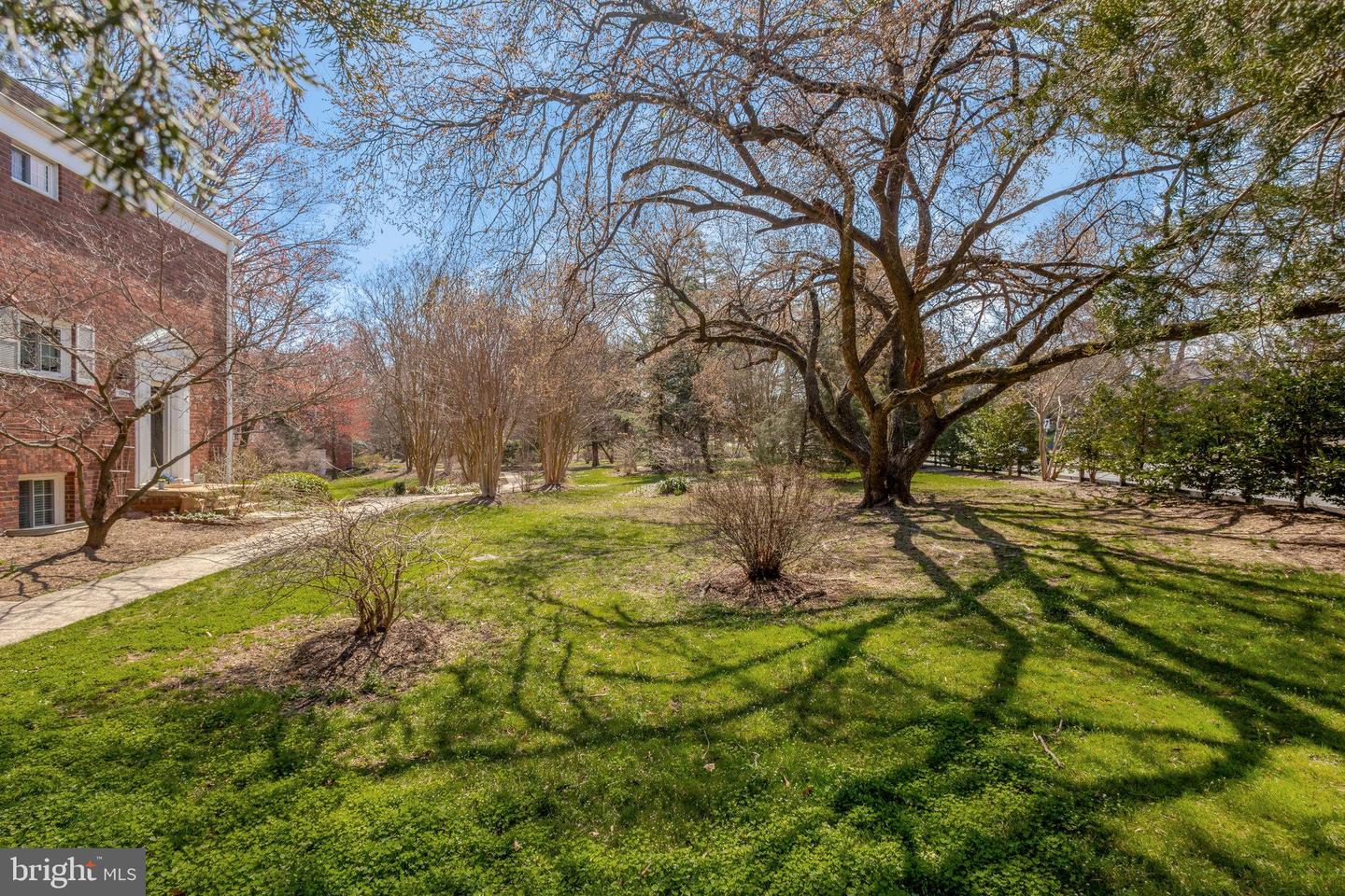 1919 N QUAKER LN, ALEXANDRIA, Virginia 22302, 2 Bedrooms Bedrooms, ,1 BathroomBathrooms,Residential,For sale,1919 N QUAKER LN,VAAX2043002 MLS # VAAX2043002