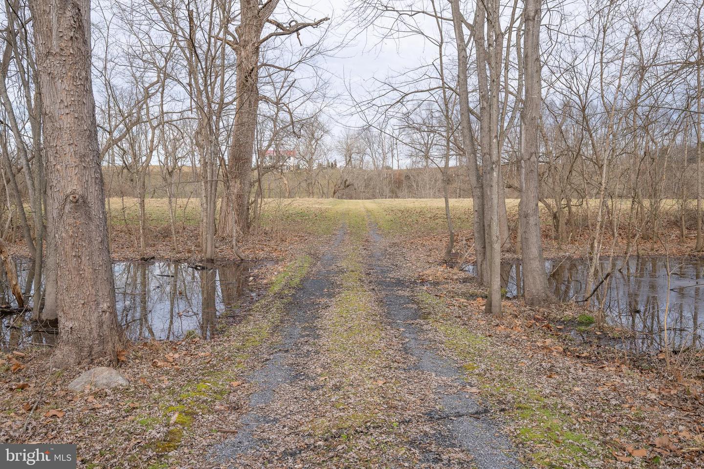 STAGE COACH ROAD, WOODSTOCK, Virginia 22664, ,Land,For sale,STAGE COACH ROAD,VASH2011000 MLS # VASH2011000