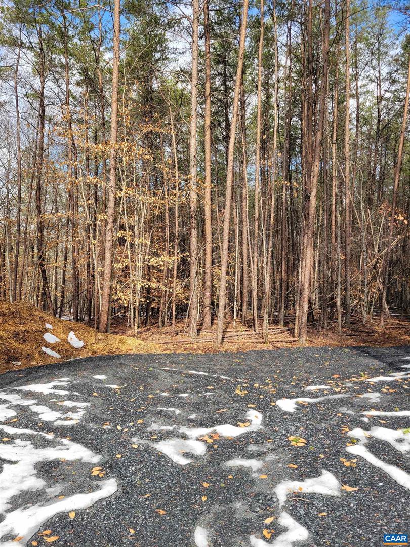 0 MERRY OAKS LN #C, PALMYRA, Virginia 22963, ,Land,For sale,0 MERRY OAKS LN #C,662353 MLS # 662353