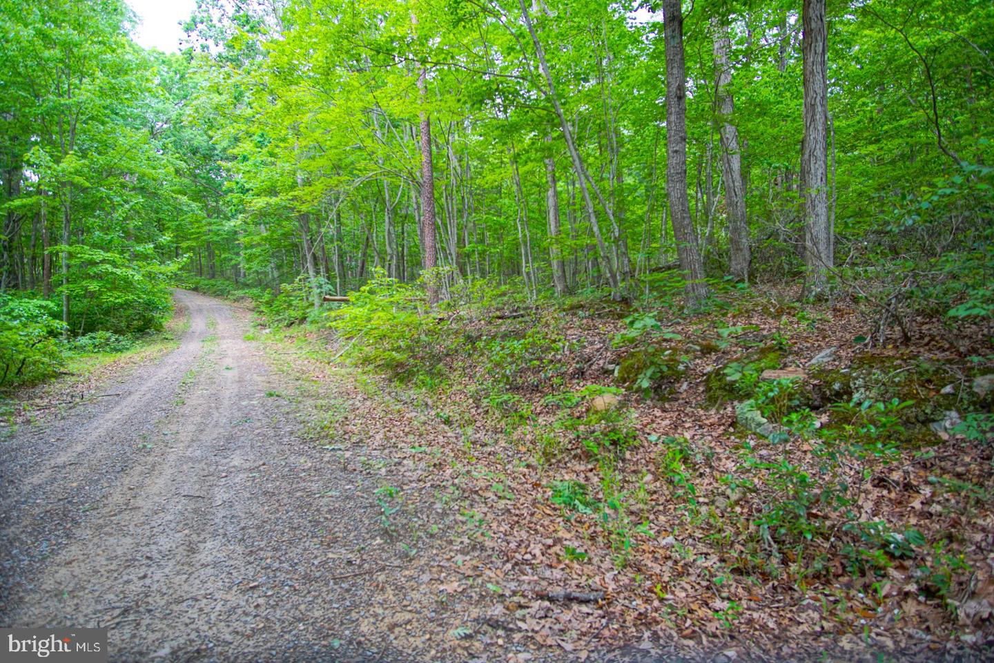 LOT K5 WHITE OAK RD, LURAY, Virginia 22835, ,Land,For sale,LOT K5 WHITE OAK RD,VAPA2004654 MLS # VAPA2004654