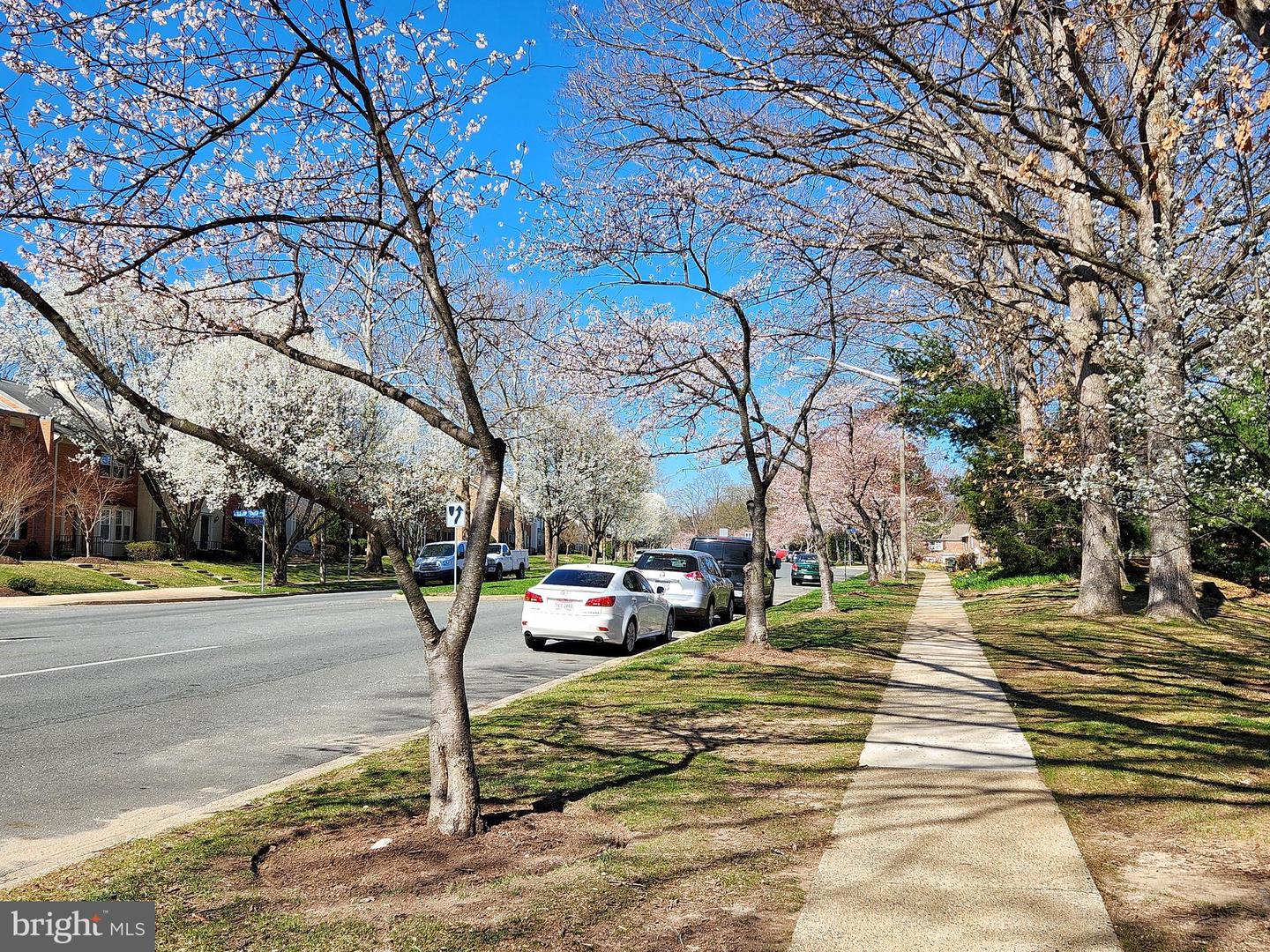 5900-F QUEENSTON ST #498, SPRINGFIELD, Virginia 22152, 2 Bedrooms Bedrooms, ,1 BathroomBathrooms,Residential,For sale,5900-F QUEENSTON ST #498,VAFX2230564 MLS # VAFX2230564