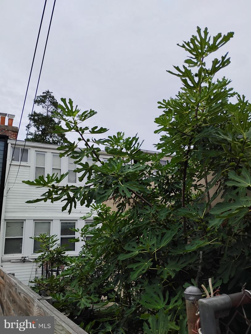 430 EMERSON ST NW, WASHINGTON, District Of Columbia 20011, 4 Bedrooms Bedrooms, ,1 BathroomBathrooms,Residential,For sale,430 EMERSON ST NW,DCDC2192684 MLS # DCDC2192684